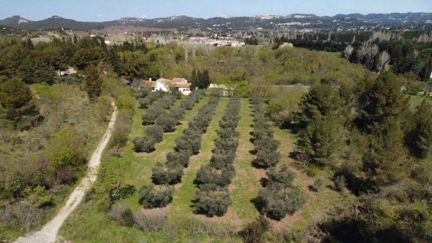 Photos 11 - Prestige - Maison