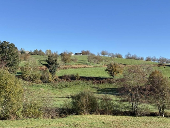 Photos 2 - Prestige - Maison