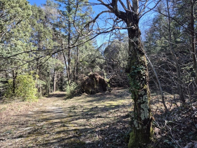 Photos 8 - Touristique - Maison