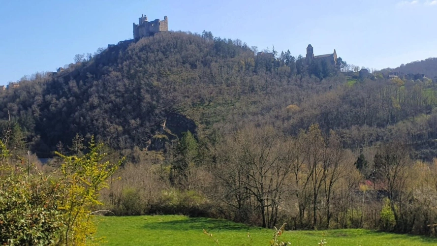 Photos 18 - Rurale - Demeure