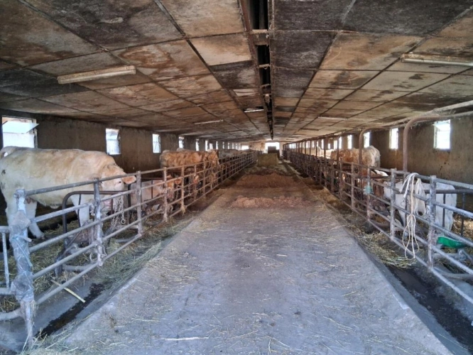 Photos 5 - Agricole - ALLIER