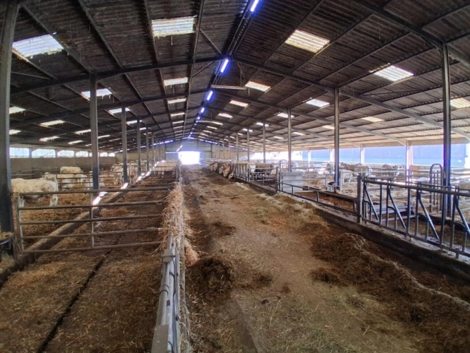 Photos 7 - Agricole - ALLIER