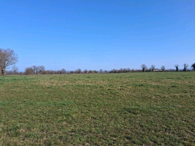 Photos 9 - Agricole - ALLIER