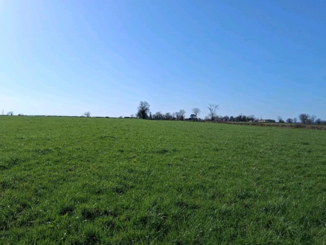 Photos 10 - Agricole - ALLIER