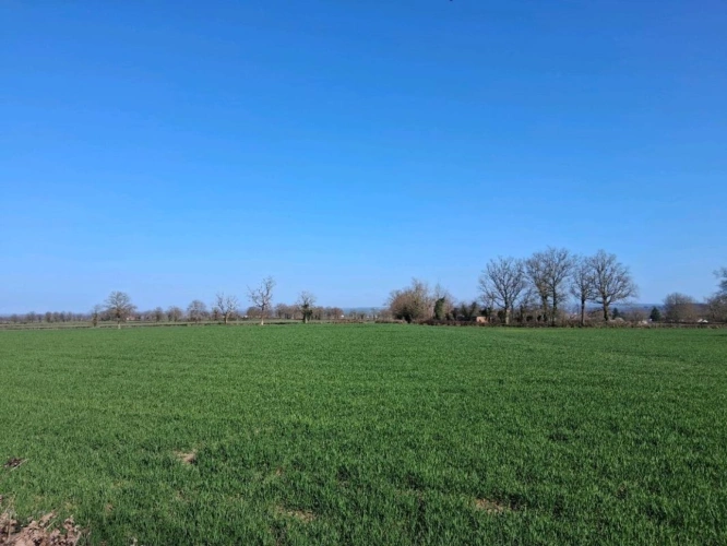 Photos 11 - Agricole - ALLIER