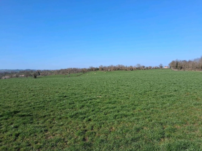 Photos 12 - Agricole - ALLIER