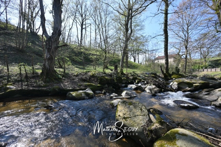 Photos 3 - Tourist - Ancien Moulin sur 1,3 Ha de terrain à MESSIMY (69)