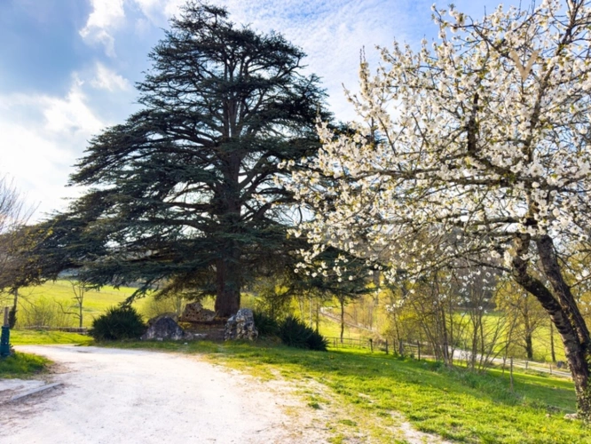 Photos 3 - Équestre - Domaine équestre de prestige au cœur de 18 hectares – Élégance, nature et art de vivre proche de THEZAC (47)