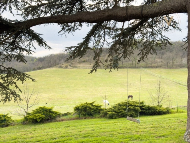 Photos 24 - Équestre - Domaine équestre de prestige au cœur de 18 hectares – Élégance, nature et art de vivre proche de THEZAC (47)