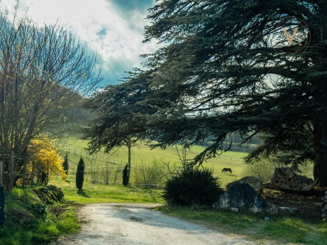 Photos 25 - Équestre - Domaine équestre de prestige au cœur de 18 hectares – Élégance, nature et art de vivre proche de THEZAC (47)