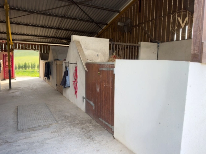 Photos 27 - Équestre - Domaine équestre de prestige au cœur de 18 hectares – Élégance, nature et art de vivre proche de THEZAC (47)