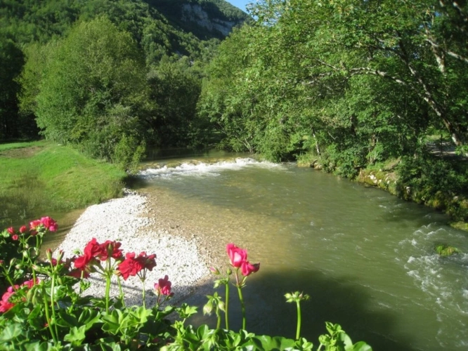Photos 23 - Rural - Terrain de loisir à vendre  CHALEY (01) 204 m² avec carport