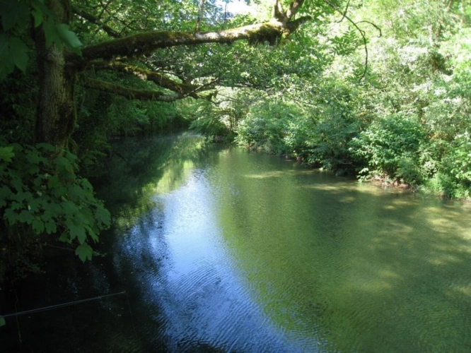 Photos 27 - Rural - Terrain de loisir à vendre  CHALEY (01) 204 m² avec carport