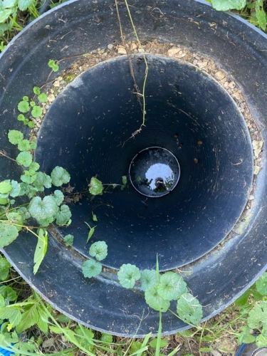 Photos 38 - Rural - Terrain de loisir à vendre  CHALEY (01) 204 m² avec carport