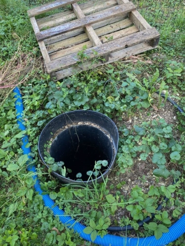 Photos 39 - Rural - Terrain de loisir à vendre  CHALEY (01) 204 m² avec carport