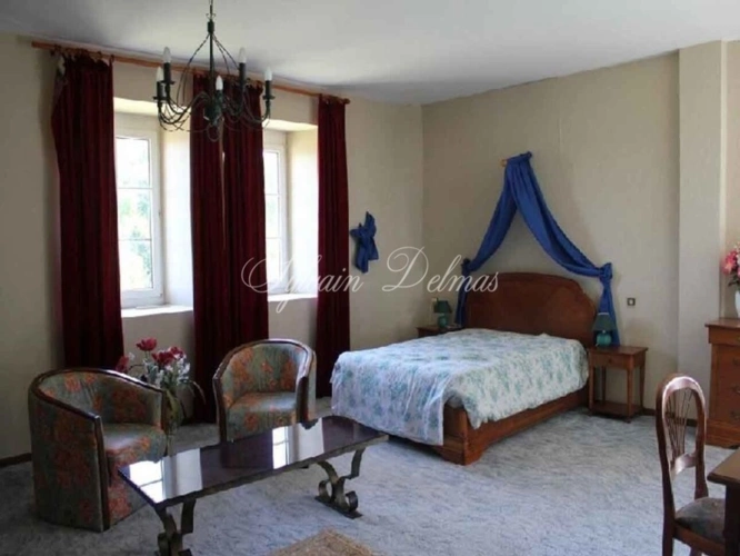 Photos 6 - Prestige - Propriete à vendre 45 pièces proche de ANGERS (49)