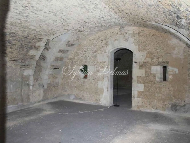 Photos 8 - Prestige - Propriete à vendre 45 pièces proche de ANGERS (49)