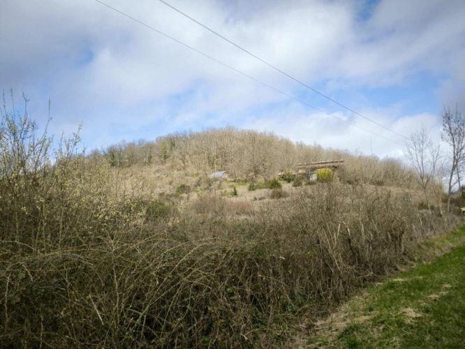 Photos 2 - Équestre - Propriété