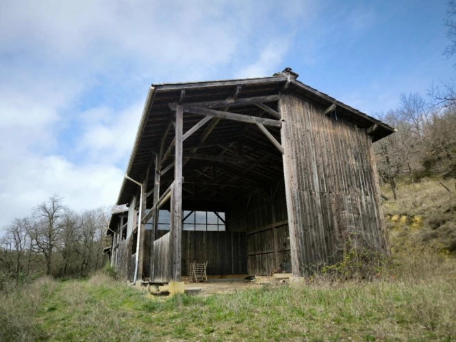 Photos 9 - Équestre - Propriété