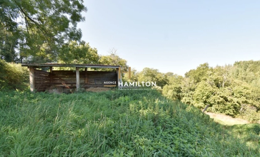 Photos 15 - Equestrian - Farmhouse