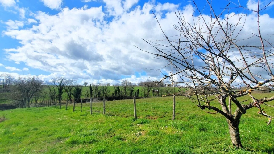 Photos 15 - Rurale - Grange