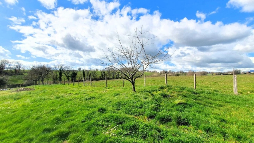 Photos 17 - Rurale - Grange