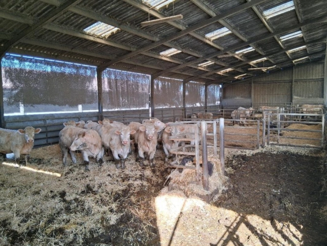 Photos 2 - Agricole - ALLIER