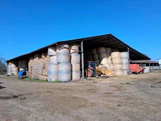 Photos 5 - Agricole - ALLIER