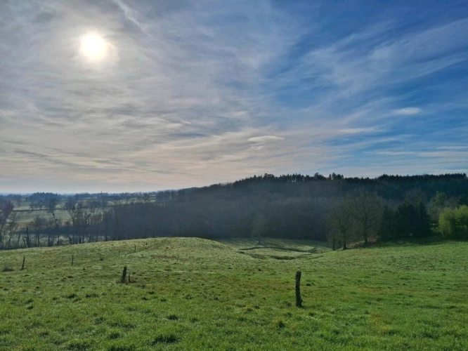 Photos 12 - Rurale - ALLIER