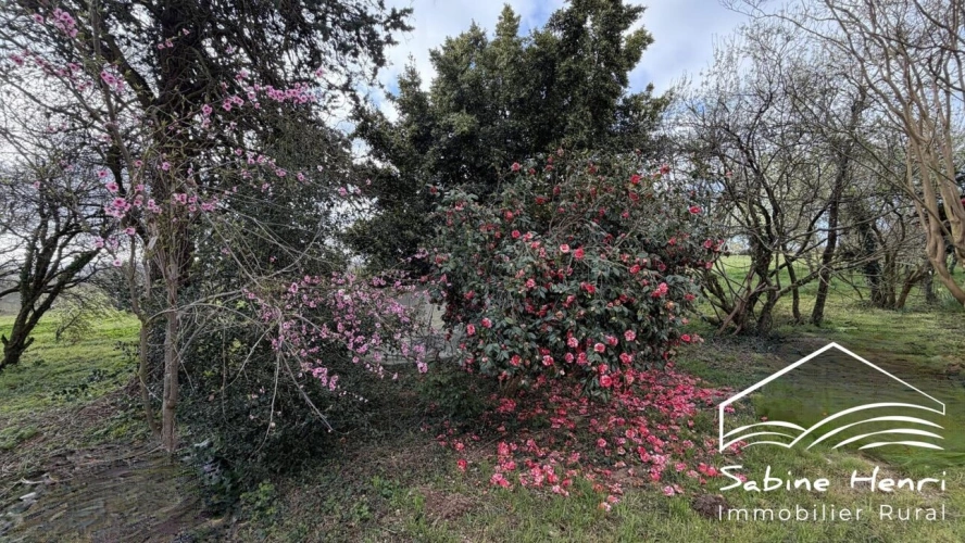 Photos 21 - Rurale - Corps de ferme de près de 4 ha hectares dans une impasse