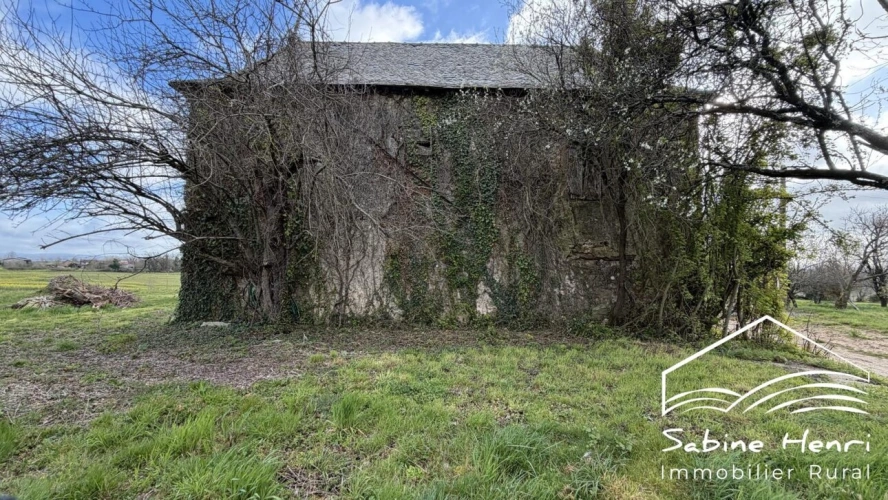 Photos 22 - Rurale - Corps de ferme de près de 4 ha hectares dans une impasse