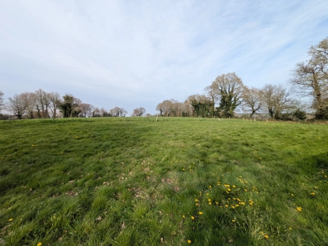 Photos 43 - Rurale - Bubry propriété composée d'une maison à usage d'habitation avec garage, deux petits hangars, une grange en pierre, une longère en pierre, un grand hangar avec ancienne étable, 1.5 hectare de terrain