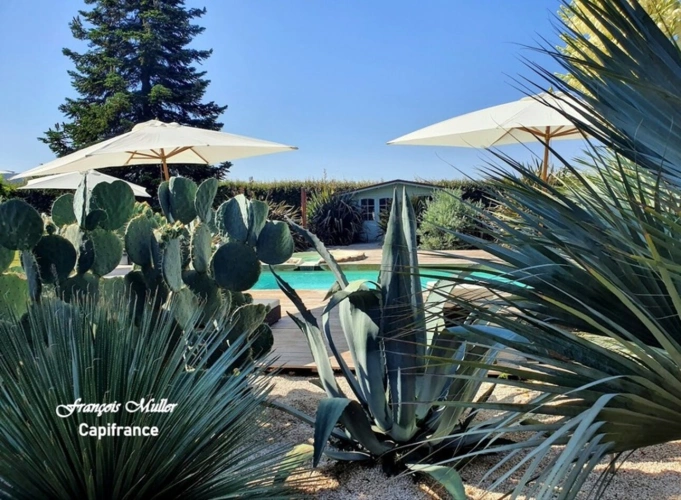 Photos 4 - Prestige - Propriété de caractère avec piscine et gîtes – Art de vivre en Provence