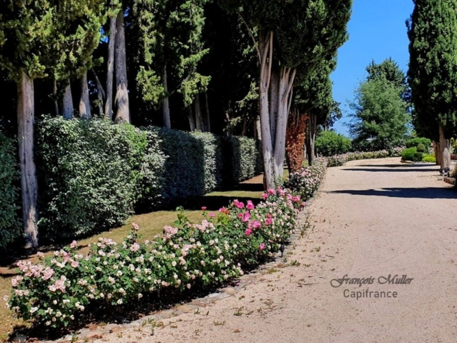 Photos 10 - Prestige - Propriété de caractère avec piscine et gîtes – Art de vivre en Provence