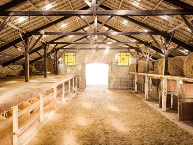 Photos 7 - Équestre - Domaine équestre d’exception sur 40 hectares — Authenticité, nature et passion proche de Penne d’Agenais (47)