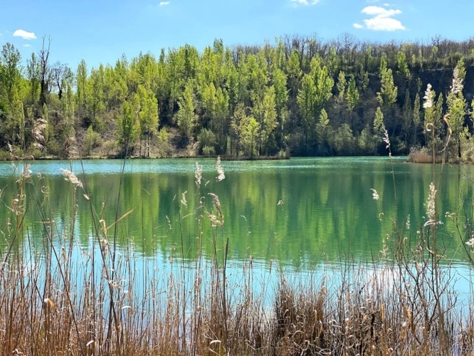 Photos 19 - Rurale - Maison