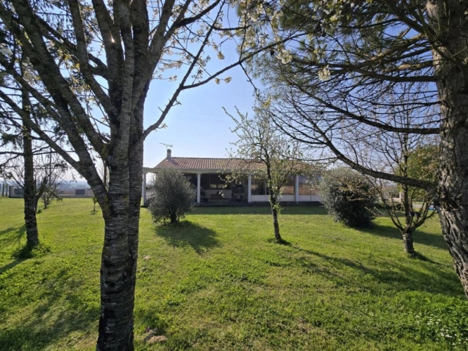 Photos 16 - Prestige - Maison de caractère