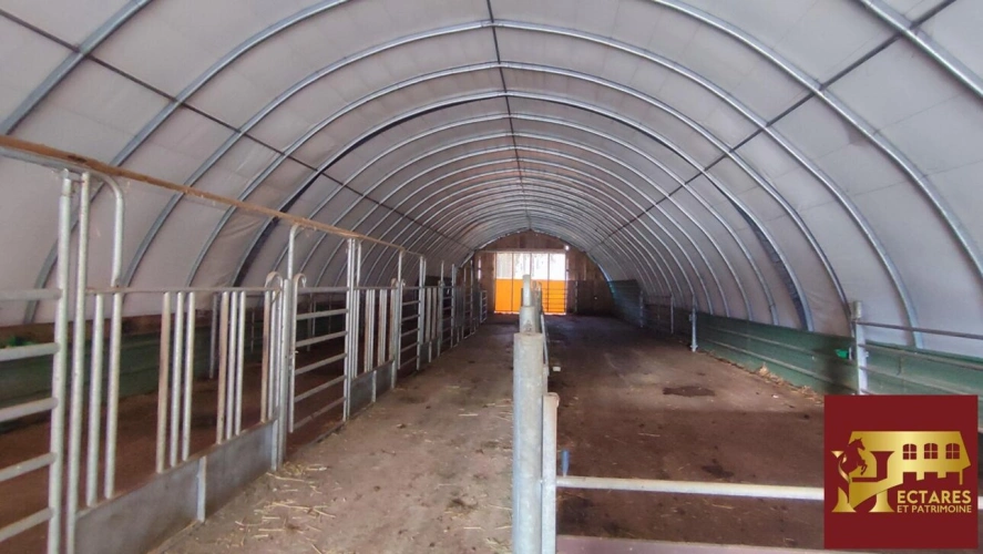 Photos 10 - Prestige - 26 hectares aux portes de Suisse