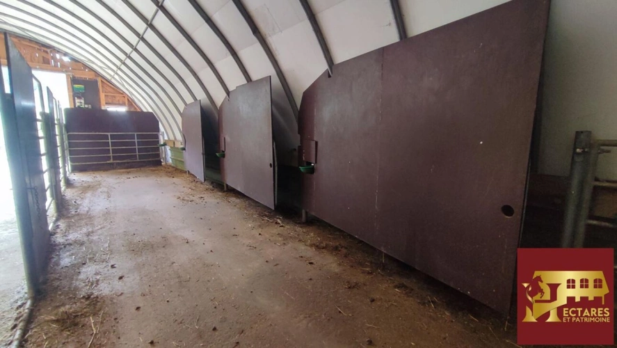 Photos 11 - Prestige - 26 hectares aux portes de Suisse