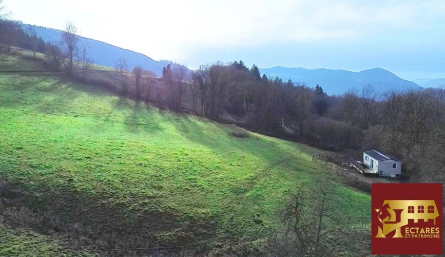 Photos 13 - Prestige - 26 hectares aux portes de Suisse