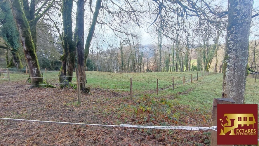 Photos 14 - Prestige - 26 hectares aux portes de Suisse