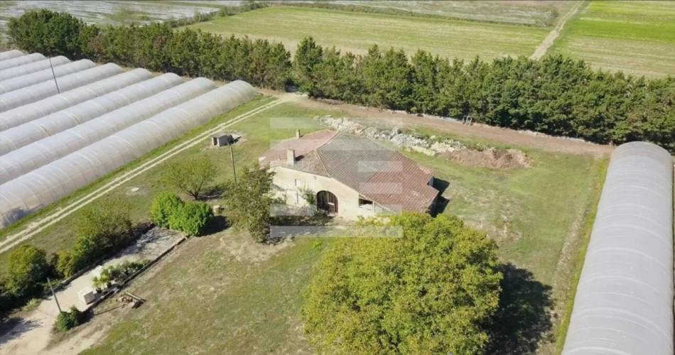 Photos 5 - Agricole - Horticole / Maraîchage