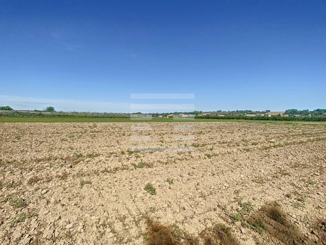 Photos 12 - Agricole - Horticole / Maraîchage