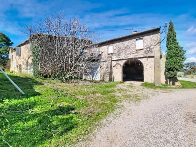 Photos 4 - Viticole - Propriété viticole