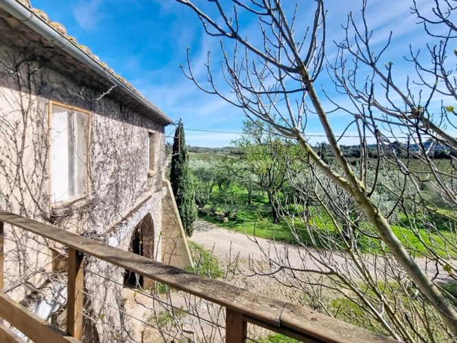 Photos 5 - Viticole - Propriété viticole