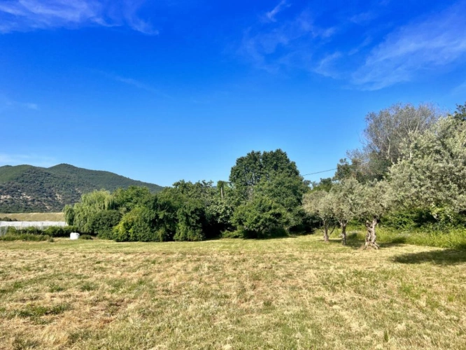 Photos 4 - Rurale - Grande ferme rénovée avec dépendances et fort potentiel d'am