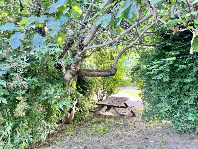 Photos 5 - Rurale - Grande ferme rénovée avec dépendances et fort potentiel d'am