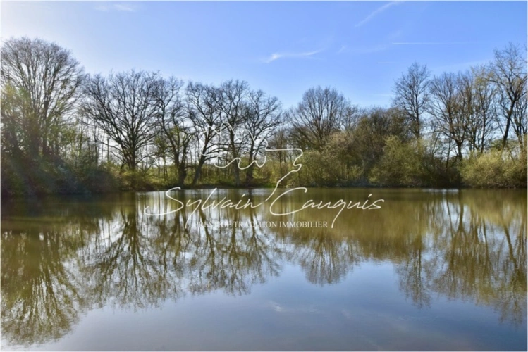 Photos 1 - Forest - Hunting or leisure property of 39 hectares
