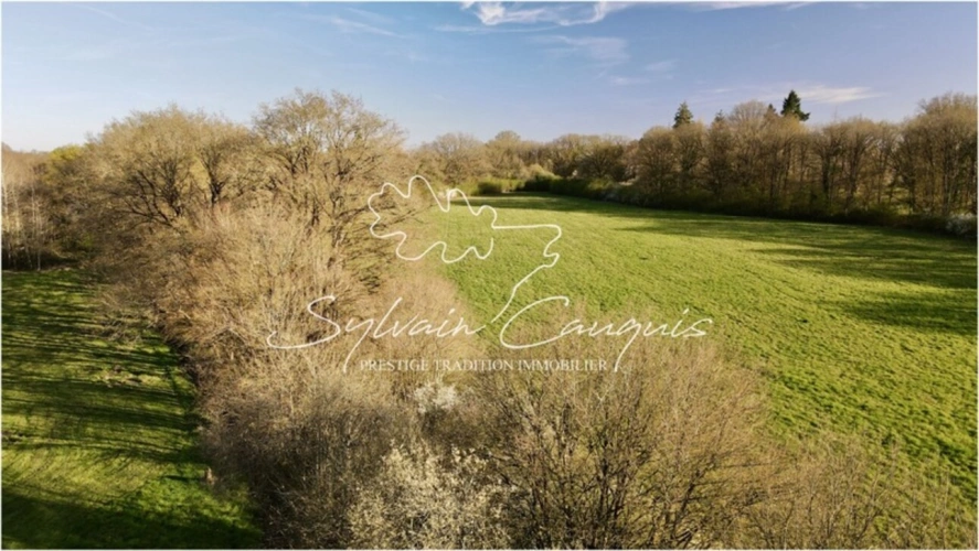 Photos 6 - Forest - Hunting or leisure property of 39 hectares