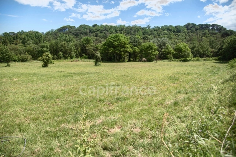 Photos 4 - Équestre - Entre Uzès et La Roque-sur-Cèze, Éden Provençal : Mas du XVIIIe & Son Domaine Privé sur 3,3 hectares